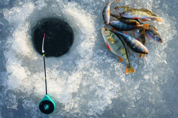 Ice fishing demo - Experience the Rush of Ice Fishing in the UK's Live Gaming Scene
